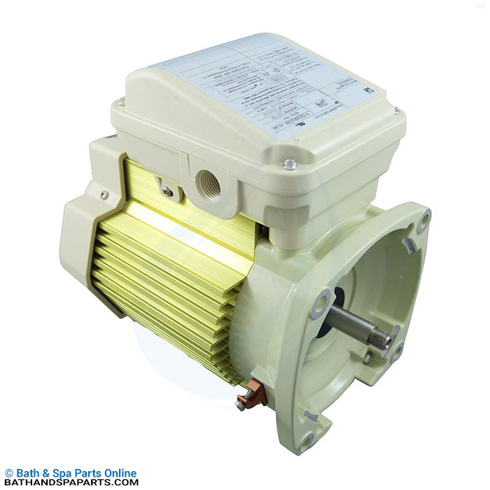 Century C-Face Pool and Spa Pump Motor 1.10HP 115/230V