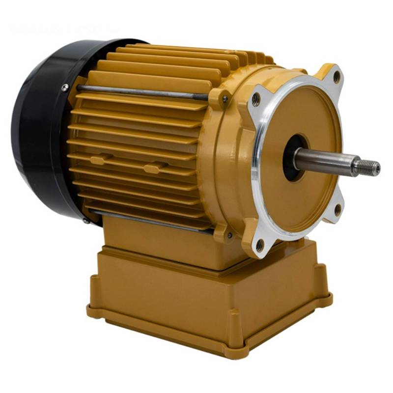 Century C-Face Pool and Spa Pump Motor 1.10HP 115/230V