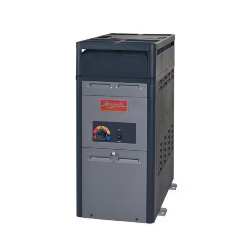 Raypak Natural Gas Electric Heater 106K BTU