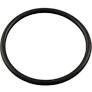 VITON CHLORINATOR LID ORING
