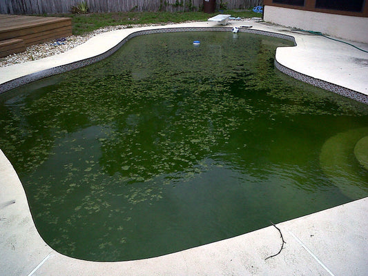 Why Is My Above Ground Pool Green?