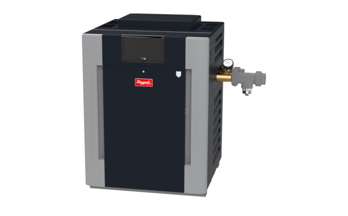 Raypak Raypak 406A Digital Natural Gas Heater #50 0-2K CU-NI